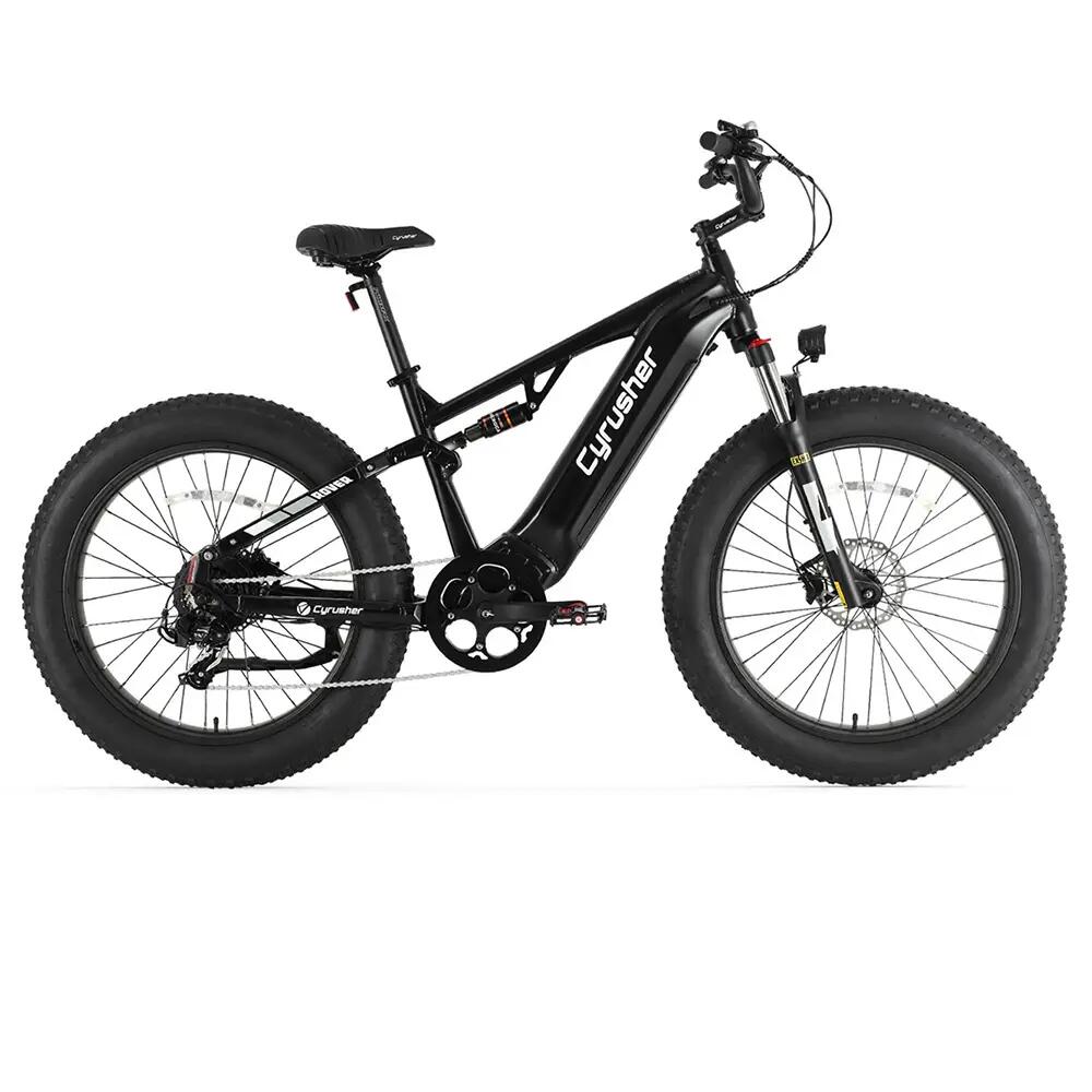 Elektrofahrrad Cyrusher Rover, 250W Motor, 52V 15,6Ah Akku, 26" Reifen 2/8