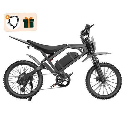 V20 Cross - Elektro-Skinnybike - 17 Zoll - 250W - 1056Wh - Schwarz