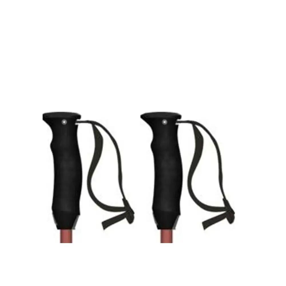 Bâtons de ski Atomic Revent Lite 5/6