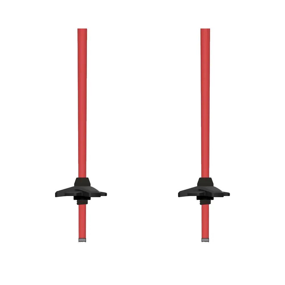 Bâtons de ski Atomic Redster 4/7