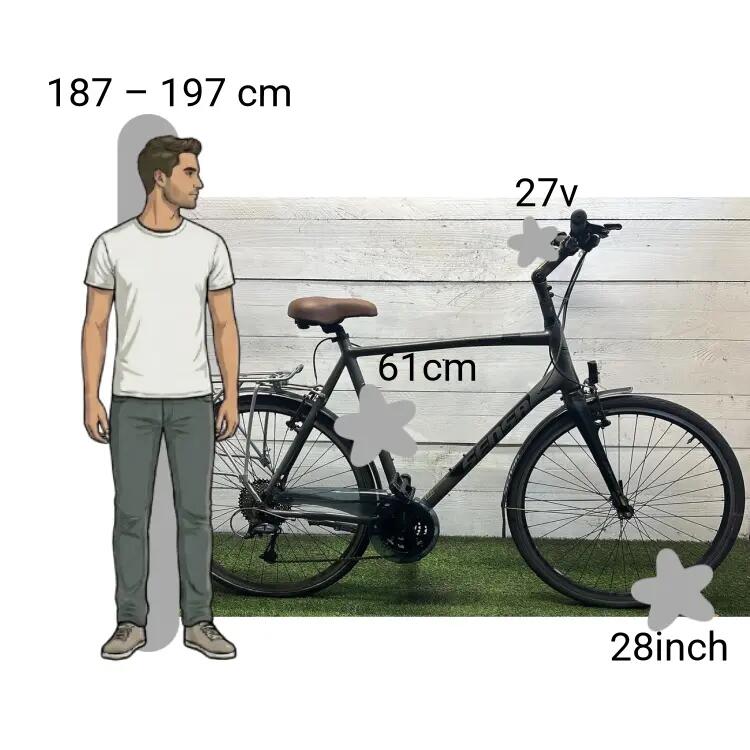 Gebraucht Sensa Super 2/4