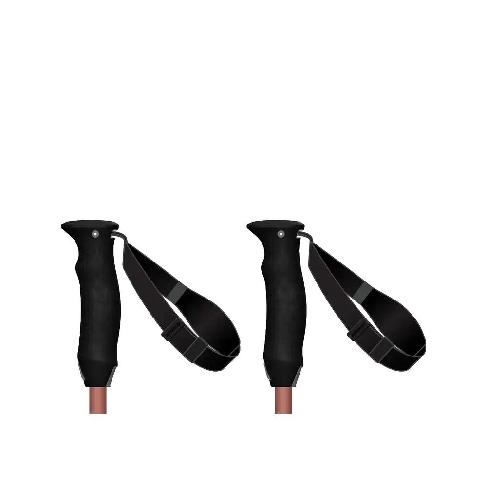 Bâtons de ski Atomic Revent Carbon Lite 5/6