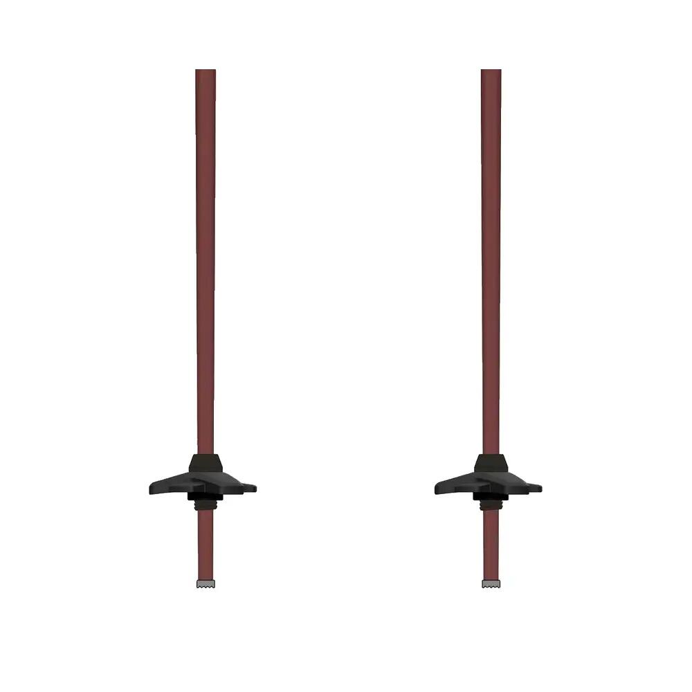 Bâtons de ski Atomic Revent Carbon Lite 4/6