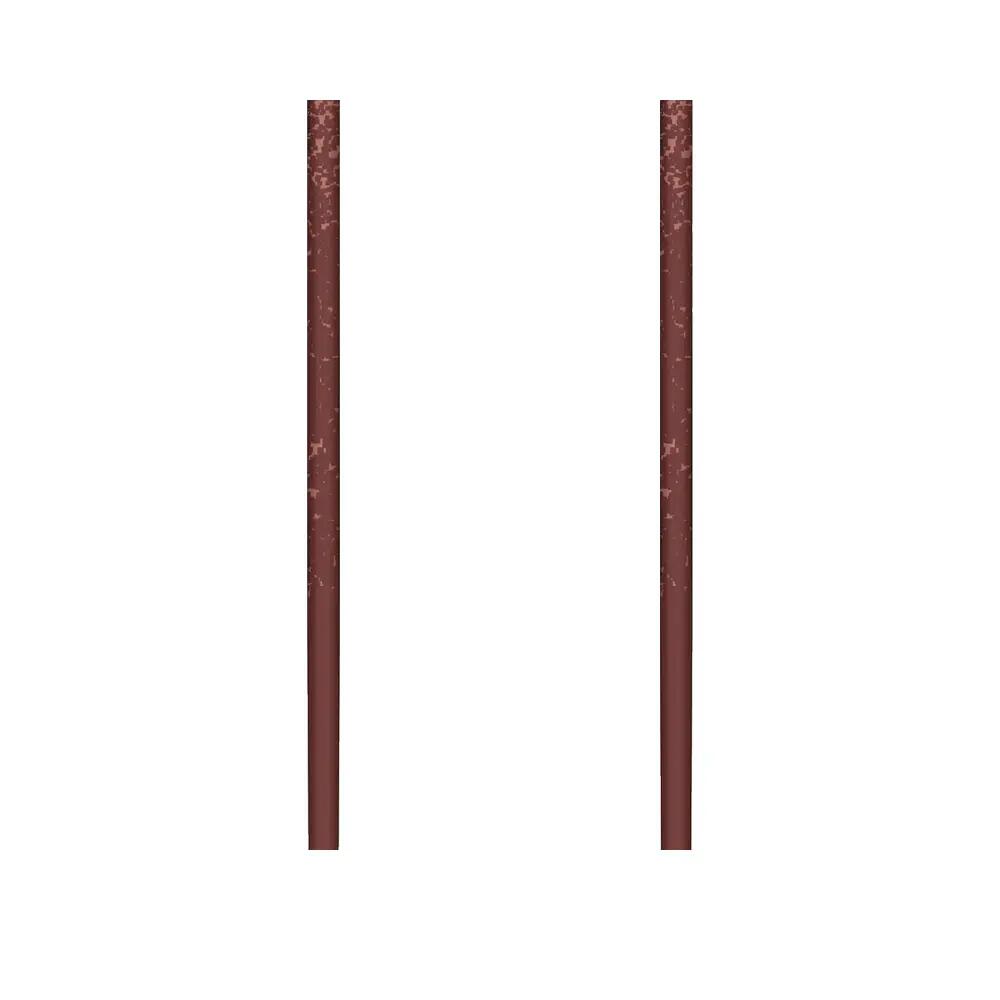 Bâtons de ski Atomic Revent Carbon Lite 3/6