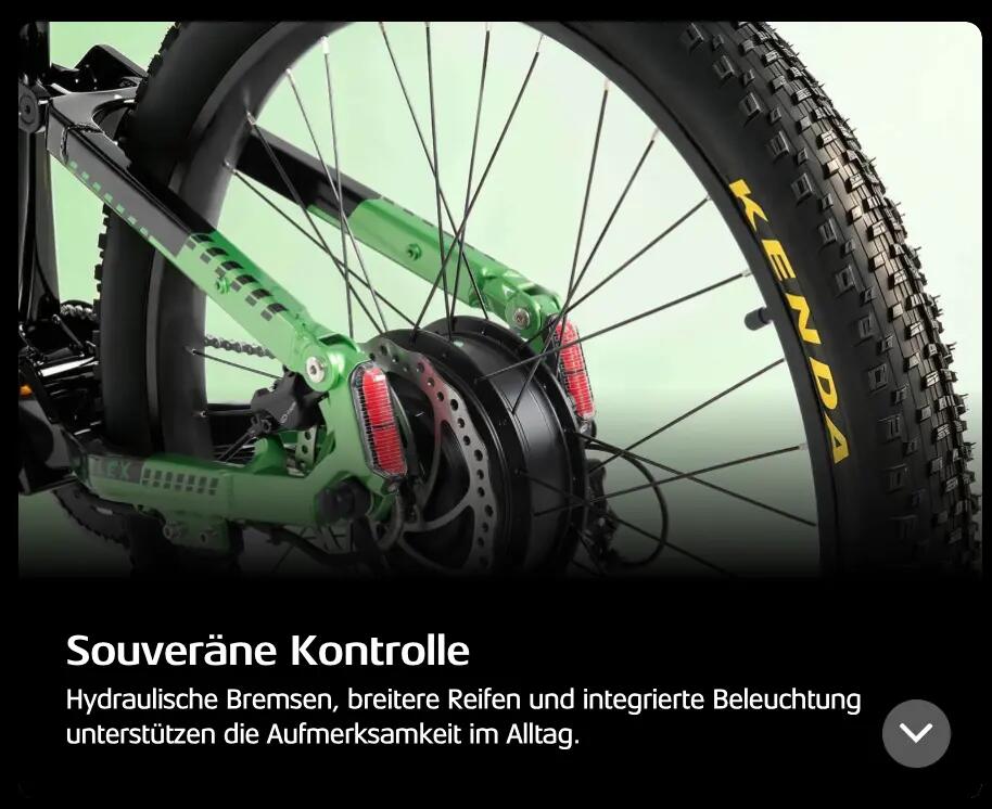 Bici elettrica Cyrusher Flex, Motore 250W, Batteria 48V 15Ah, pneumatici 27,5" 3/5