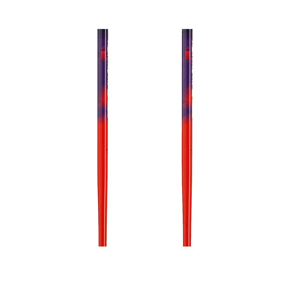 Bâtonki narciarskie Leki Alpino WCR Pro SL Multicolore 3/10
