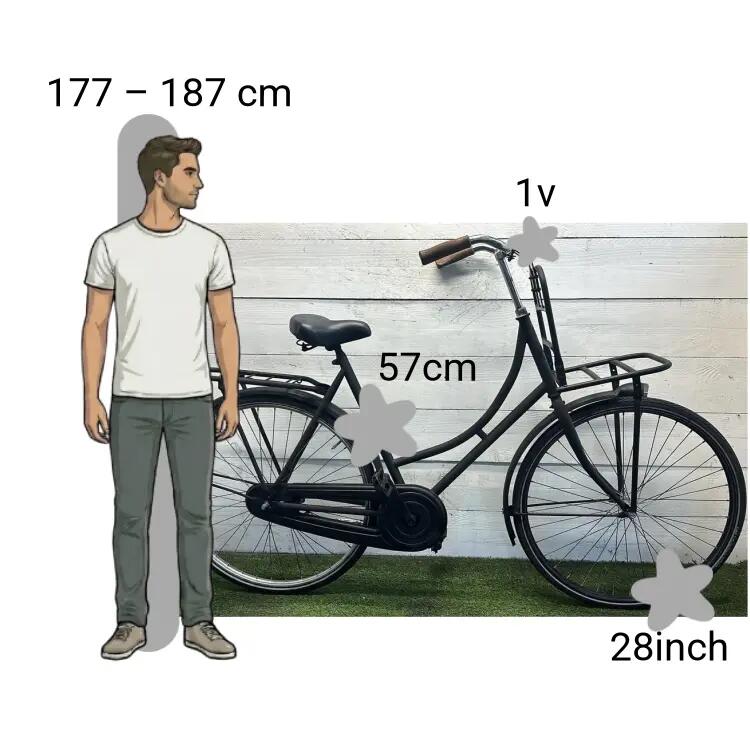 Gebraucht Burgers Transportfiets 2/4