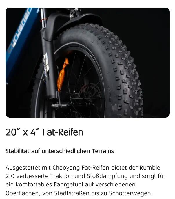 Electric bike Cyrusher Rumble 2.0, 48V 18Ah Battery, 20" Tires 6/6