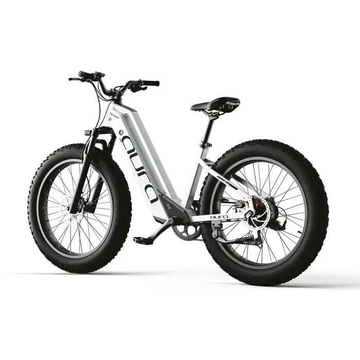 Bicicleta eléctrica Cyrusher Aura, motor 250W, batería 52V 15Ah, neumáticos 26" 3/6
