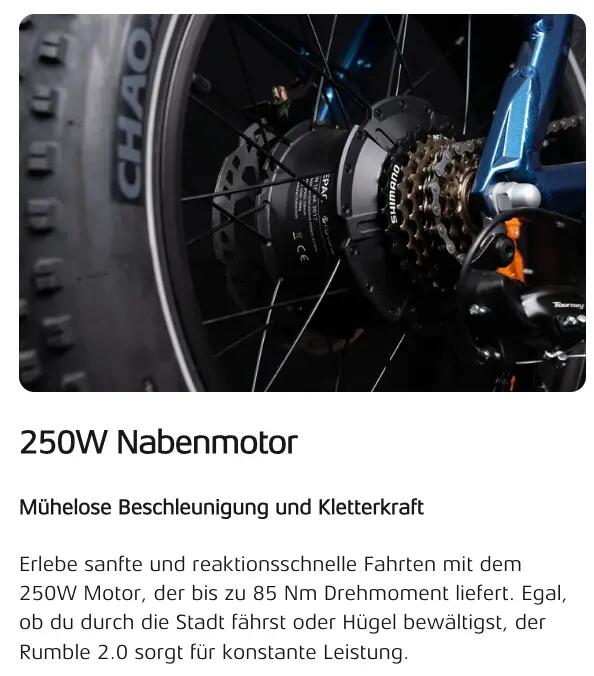 Electric bike Cyrusher Rumble 2.0, 48V 18Ah Battery, 20" Tires 3/6