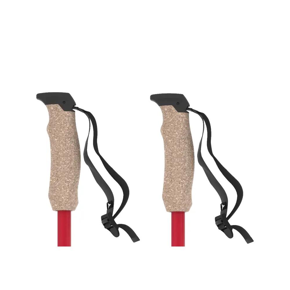Bâtons de ski Atomic AMT Carbon 4/8