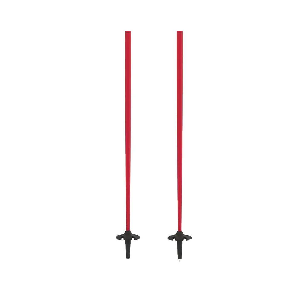 Bâtons de ski Atomic AMT Carbon 3/8