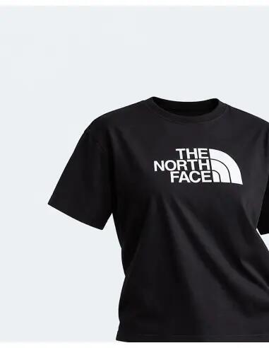 Camiseta THE NORTH FACE Evolution Half Dome 5/5