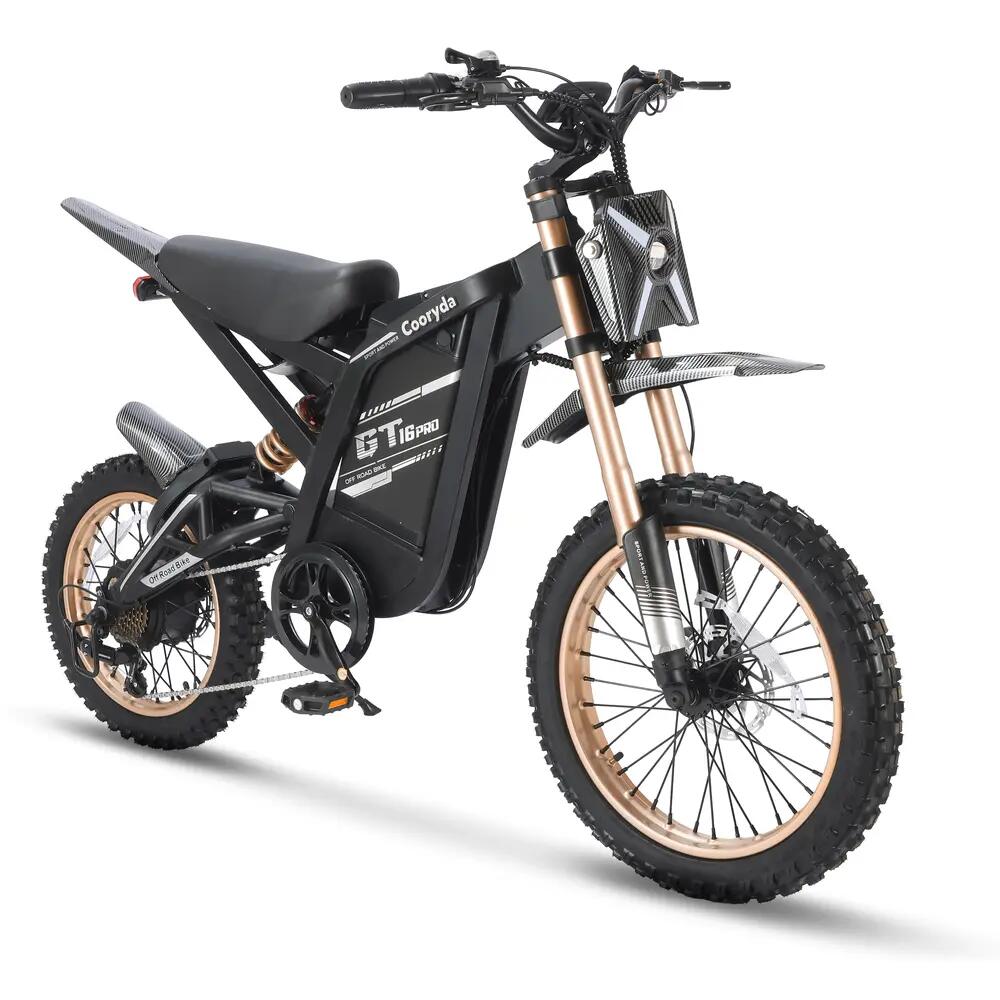 GT16 Pro - Electric fat bike - 16 inch - 250W - 7 gears - Rose gold 2/4