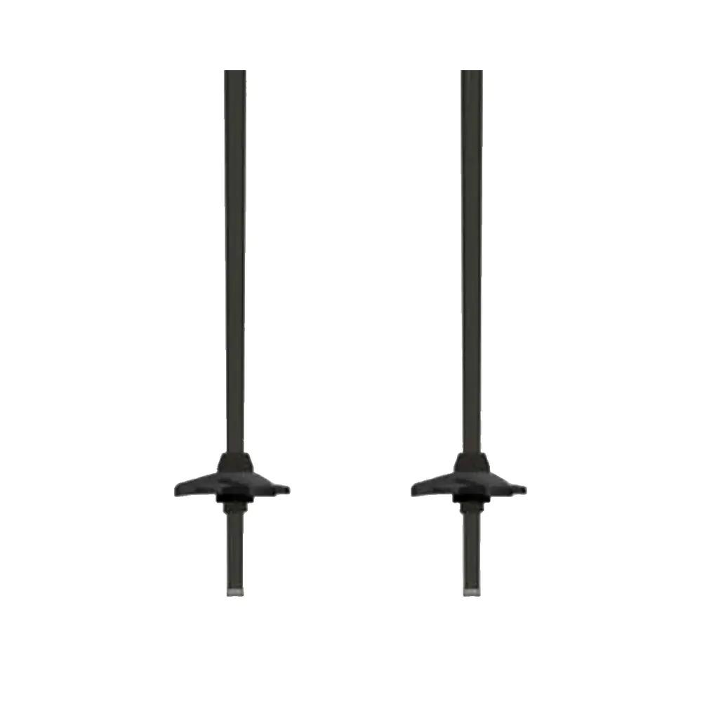 Bâtons de ski Atomic Cloud Lite 4/6