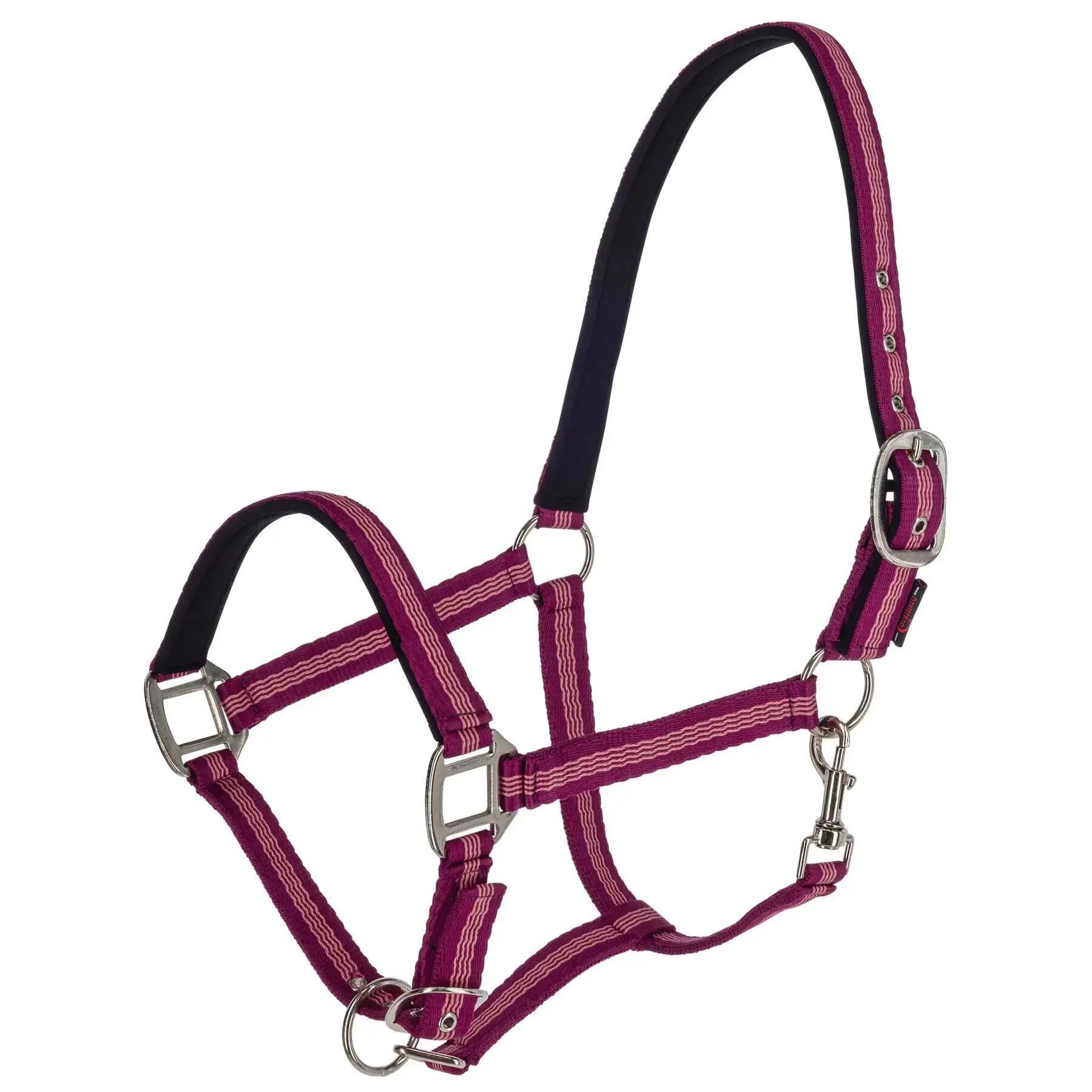 Licol pour cheval Kerbl Mustang 1/2