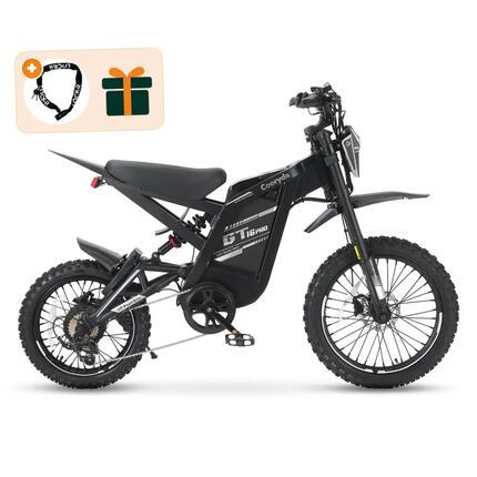 GT16 Pro - Fatbike électrique - 16 pouces - 250W - 7 vitesses - Noir