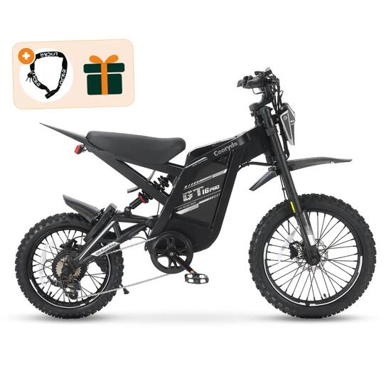 GT16 Pro - Fatbike électrique - 16 pouces - 250W - 7 vitesses - Noir