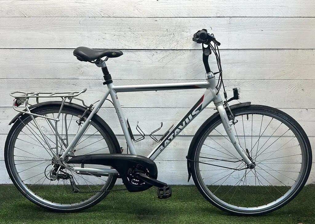 BATAVUS picture