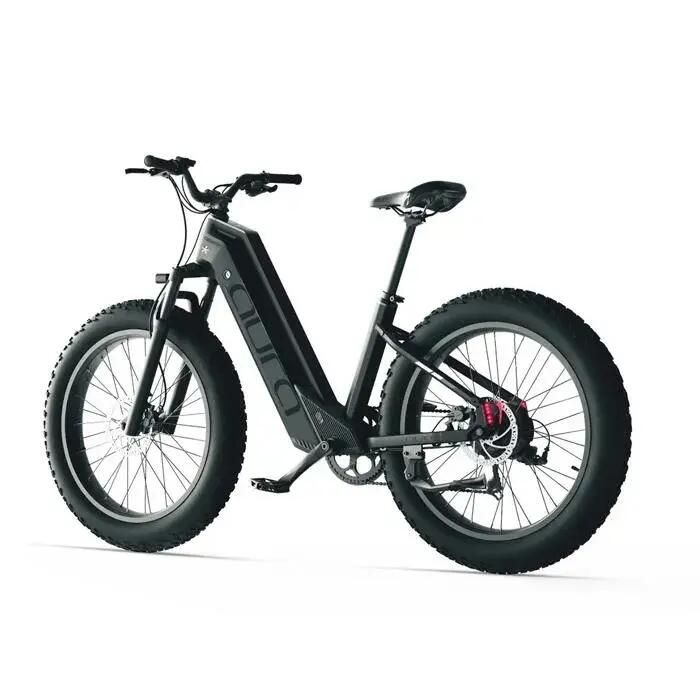 Bici elettrica Cyrusher Aura, motore 250W, batteria 52V 15Ah, pneumatici 26" 3/6