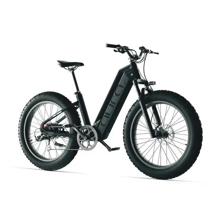 Bici elettrica Cyrusher Aura, motore 250W, batteria 52V 15Ah, pneumatici 26" 2/6