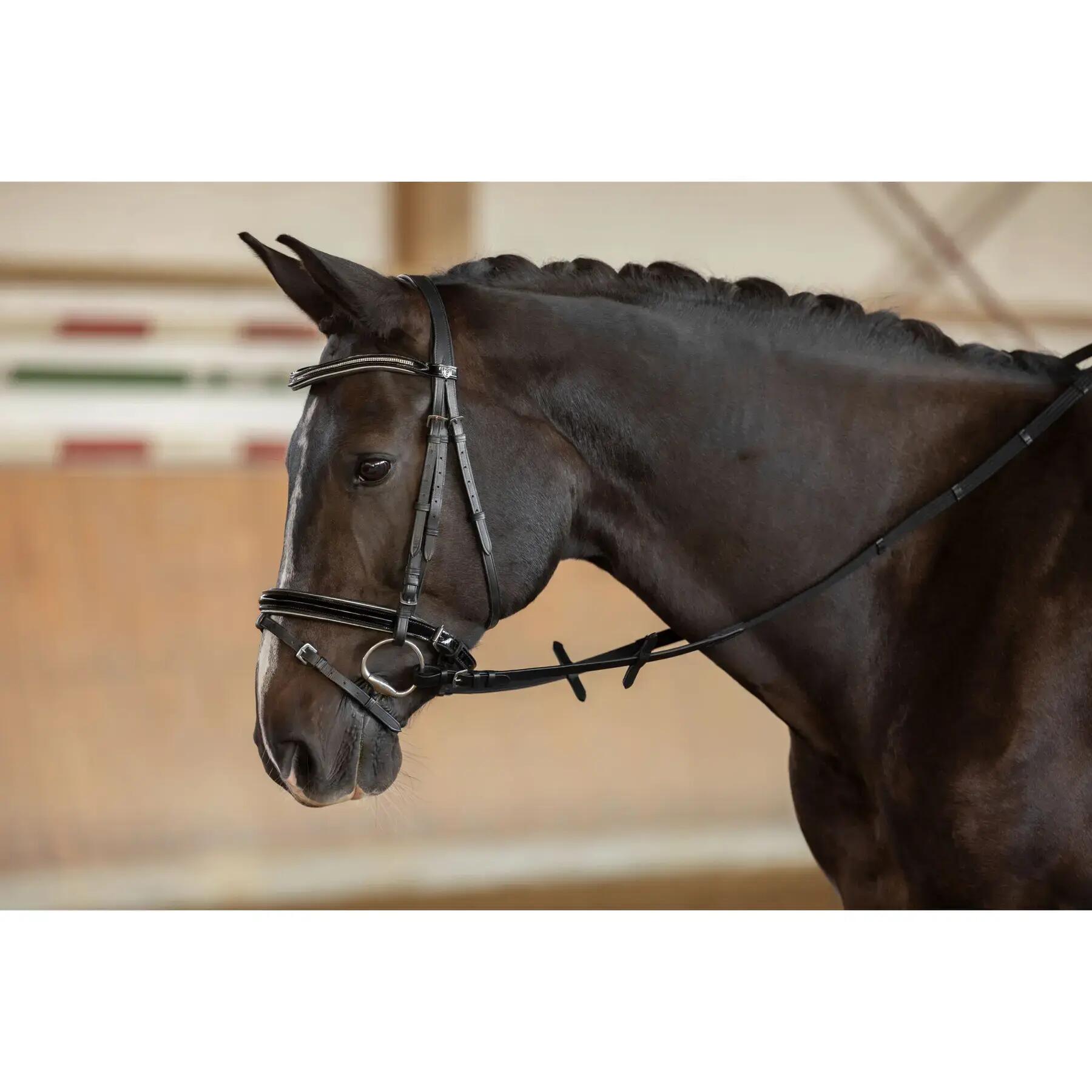 Rênes à sangle pour cheval Kerbl 2/2