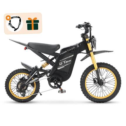 GT16 Pro - Fatbike électrique - 16 pouces - 250W - 7 vitesses - Or