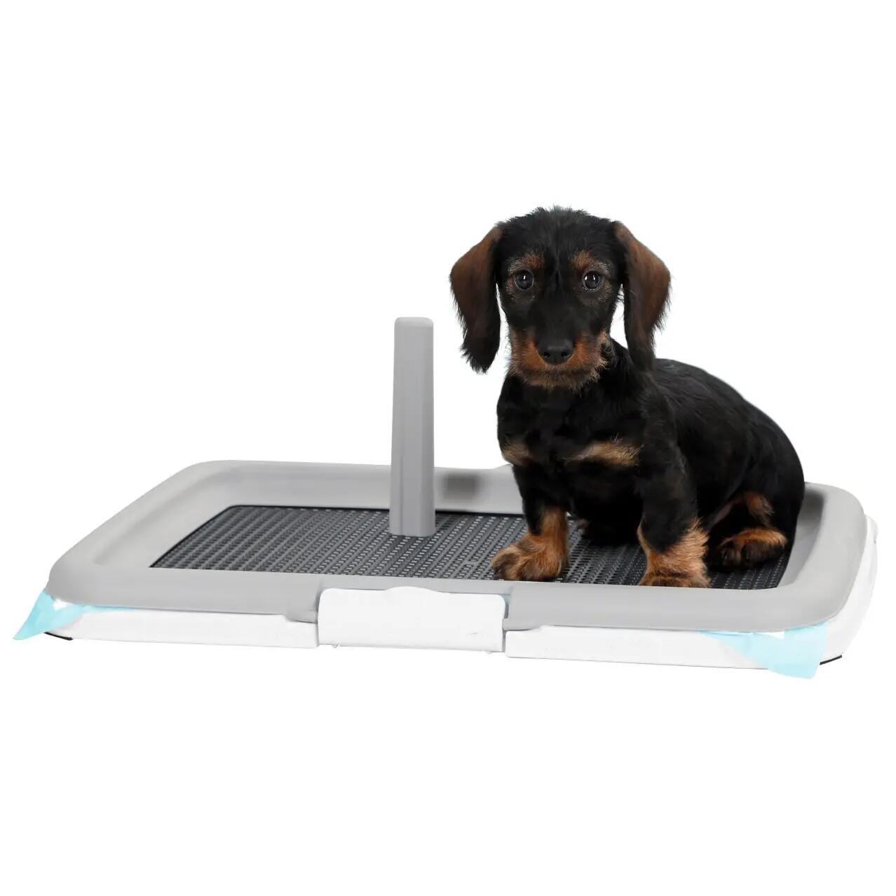 Puppy toilet Kerbl Training Set Puppy 4/6