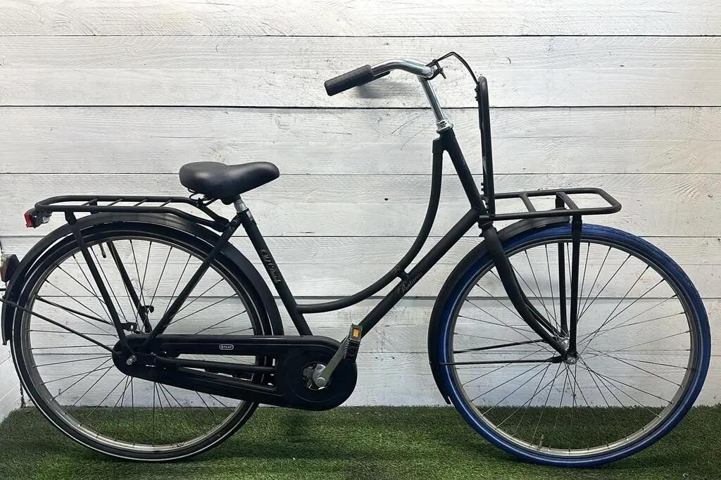 BATAVUS picture