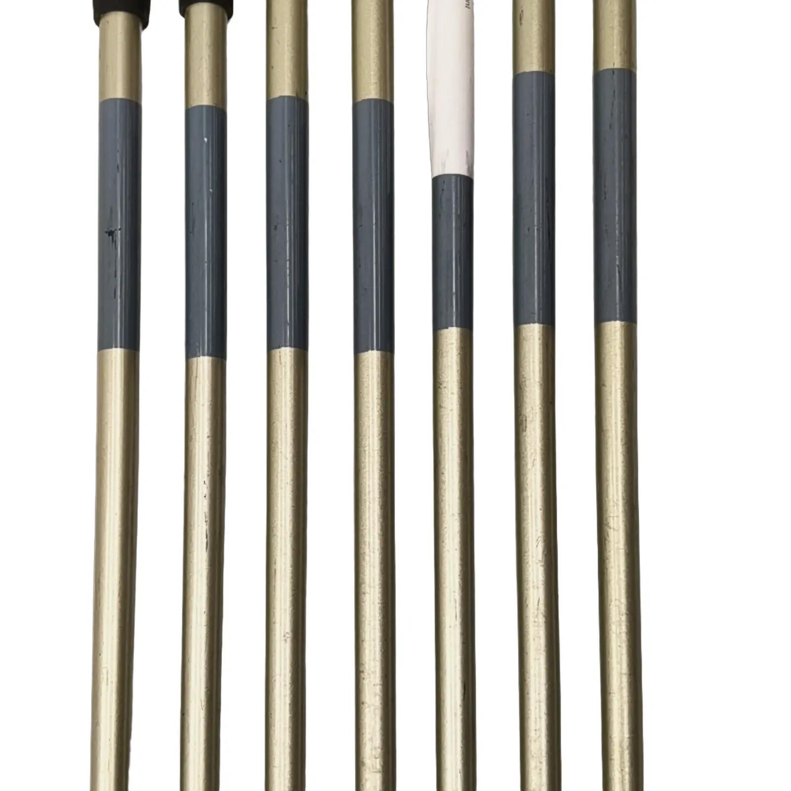 Dunlop Lady Dunlop Oversize Iron set / 5-PW+SW / Flex Ladies / Graphite 3/6