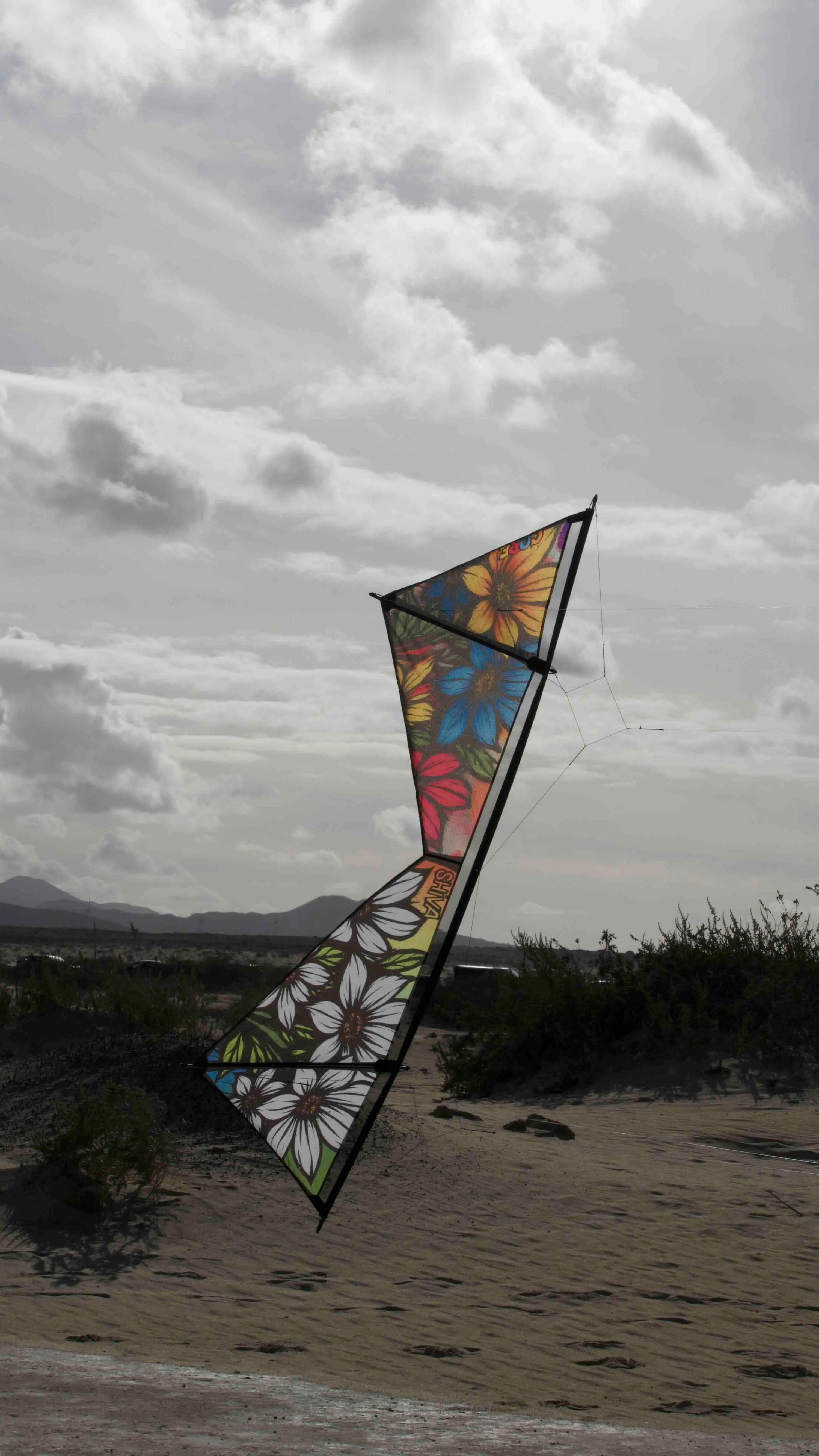 Cerf-volant acrobatique Spiderkites Shiva Core Graffiti 20036 Arc-en-ciel 7/7