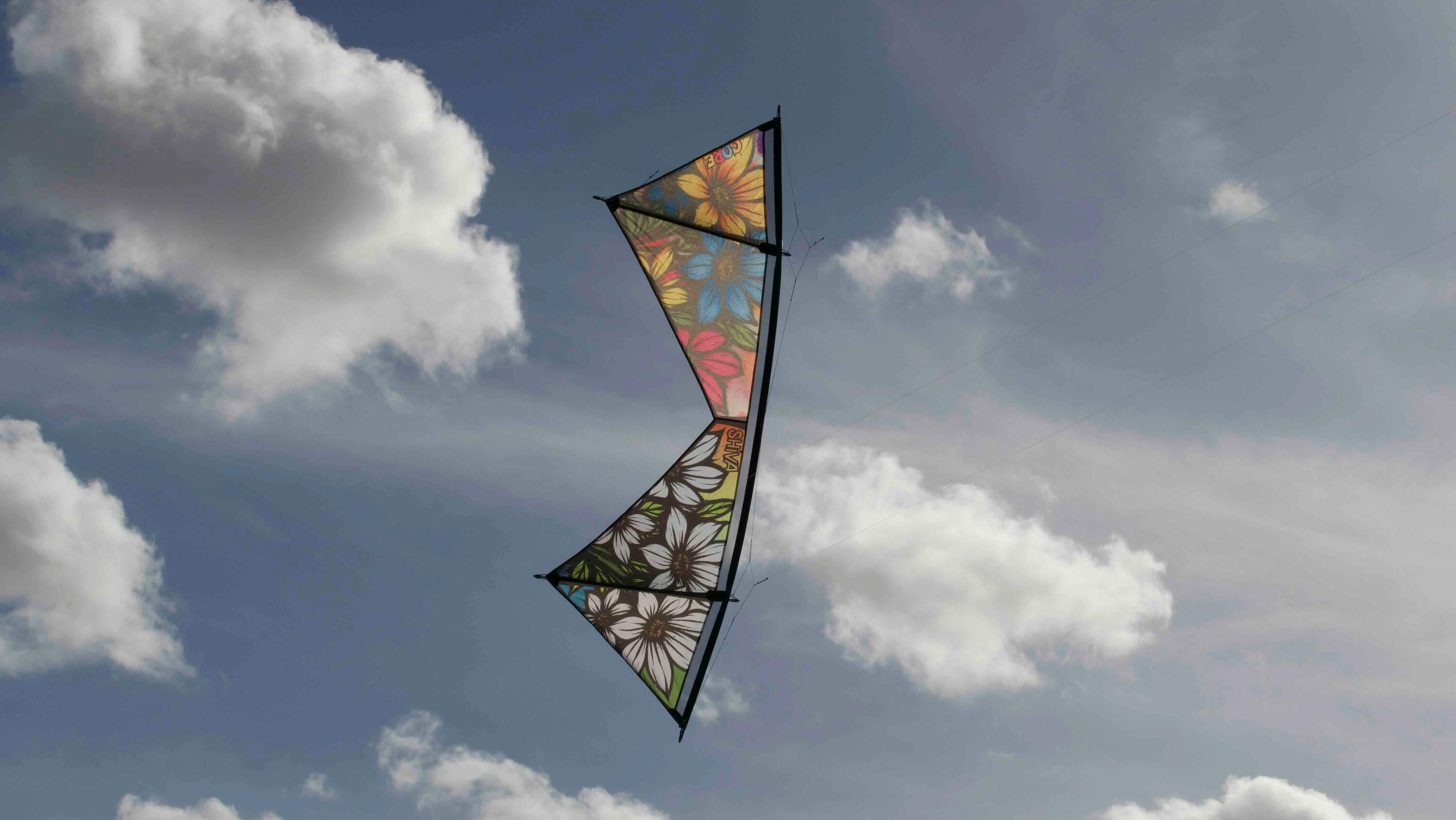 Cerf-volant acrobatique Spiderkites Shiva Core Graffiti 20036 Arc-en-ciel 6/7