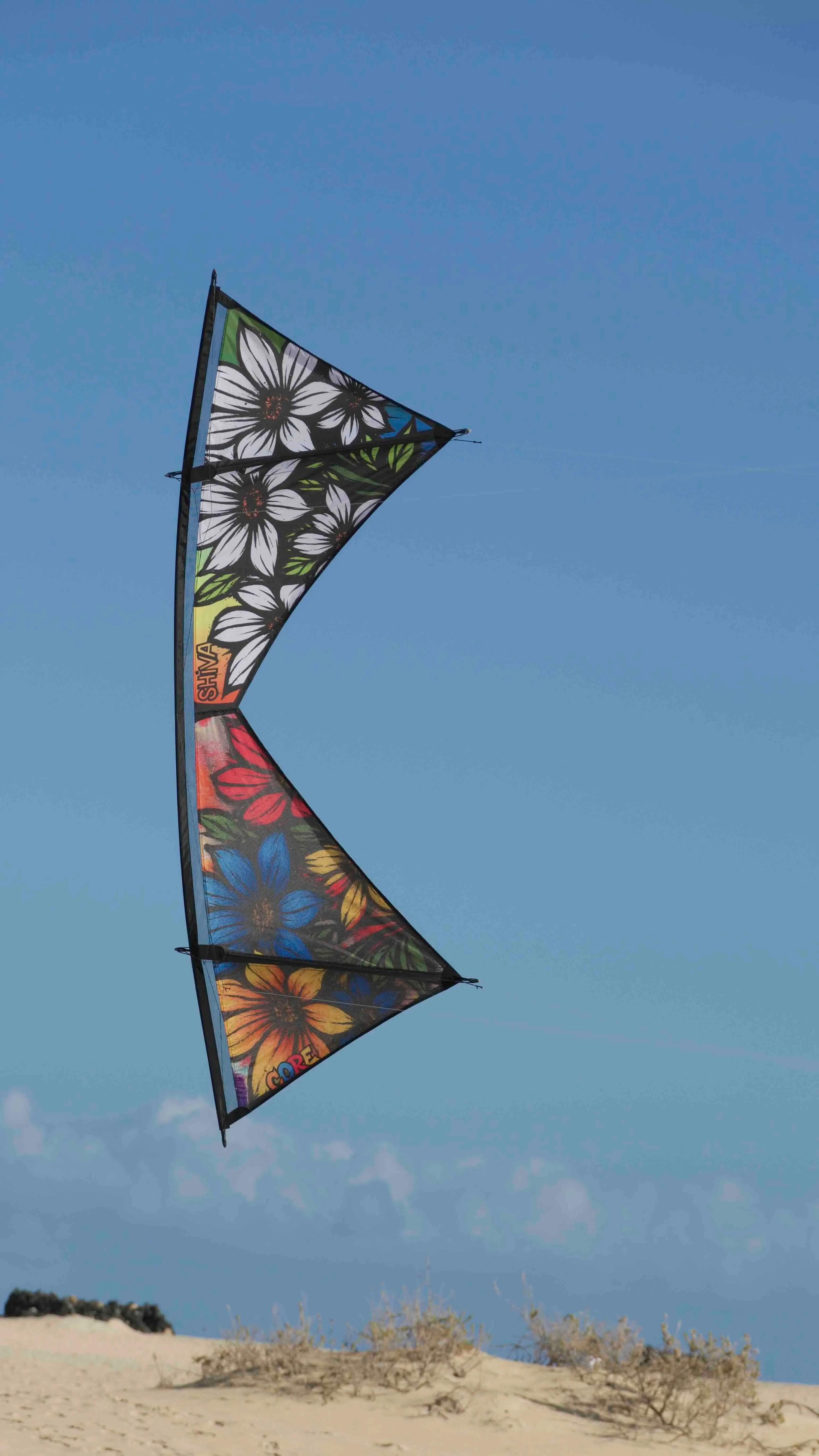 Cerf-volant acrobatique Spiderkites Shiva Core Graffiti 20036 Arc-en-ciel 5/7