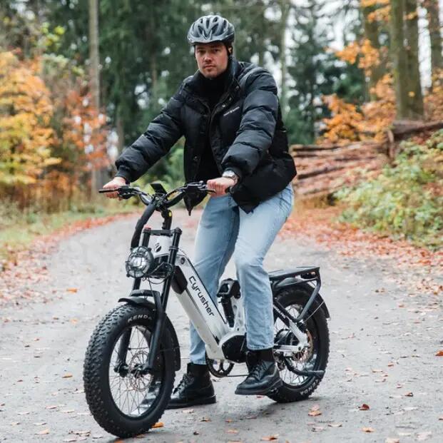 Cyrusher Kommoda Pro, 52V 20Ah Battery, 20×4.0" Tires Electric Bike, 250W 3/3