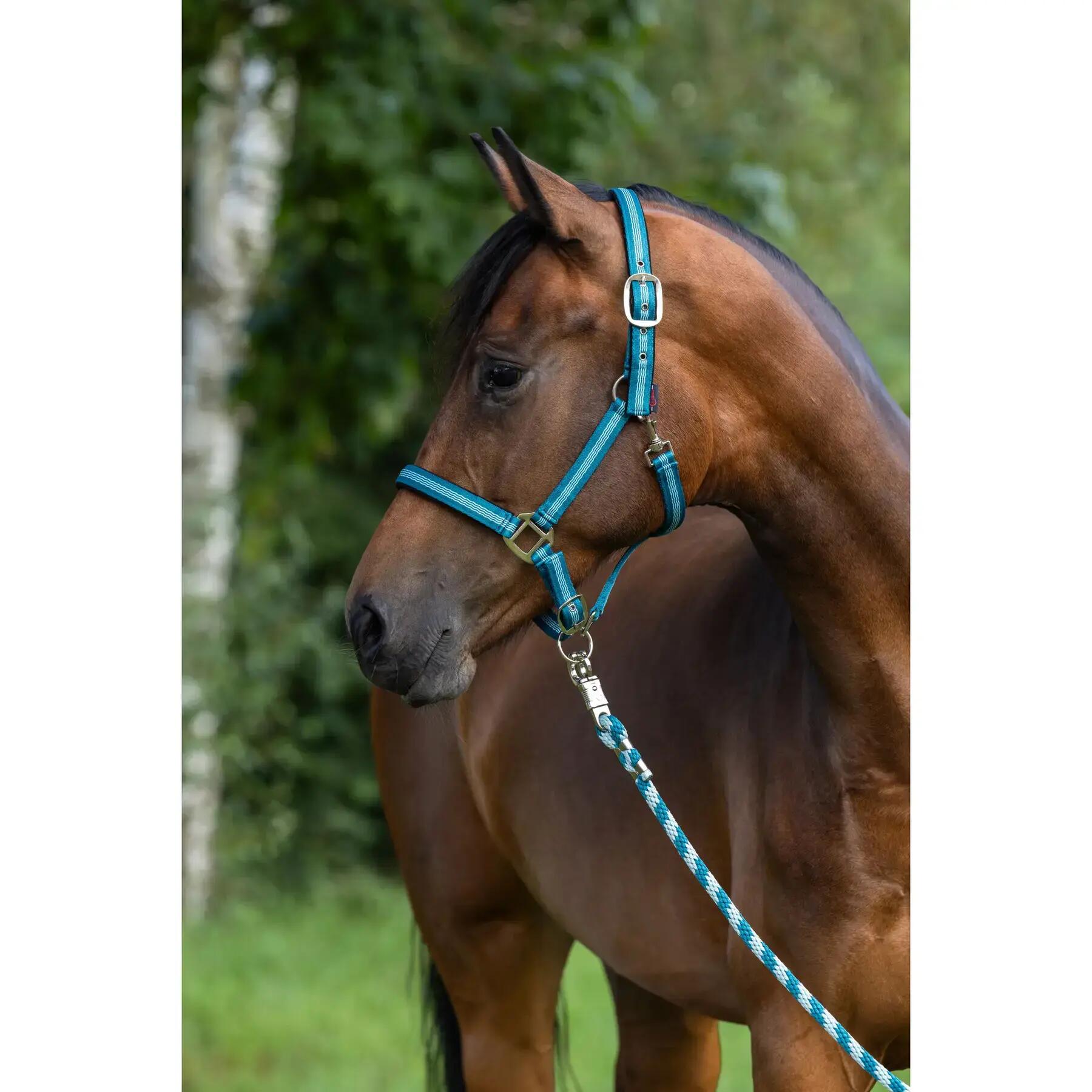 Licol pour cheval Kerbl Mustang 2/3
