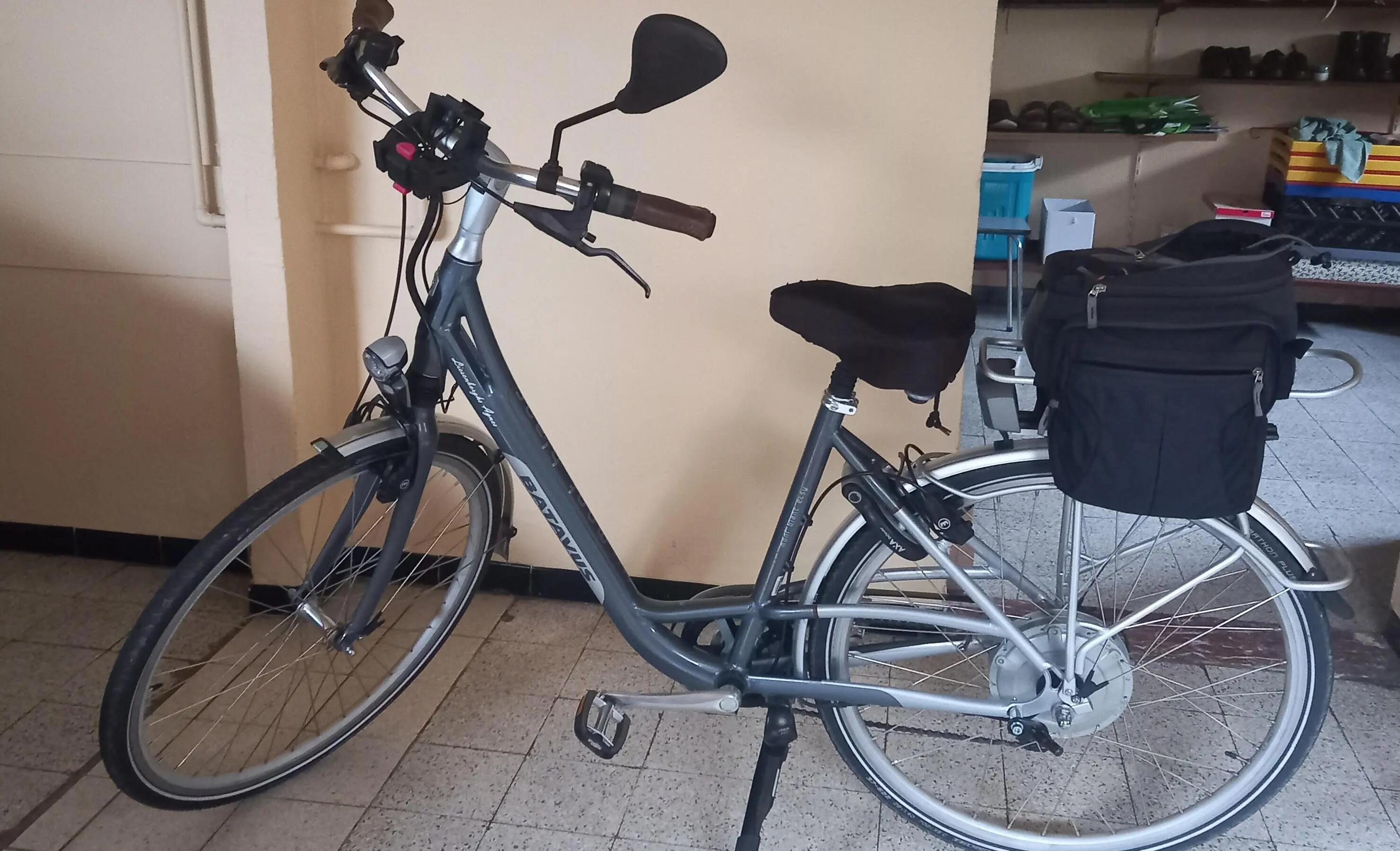 BATAVUS picture