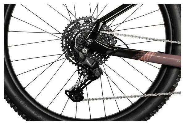 Mountain bike elettrica semi-rigida Haibike AllTrack 6 Shimano 10V 800 Wh Bosch 7/7