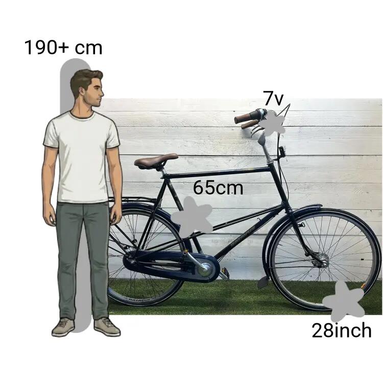 Tweedehands Batavus Stabilo XXXL FRAME 2/4