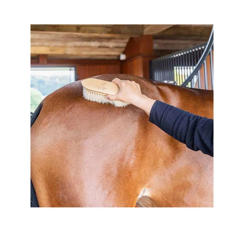 Houten borstel voor een paard Grooming Deluxe Classic medium 6/6