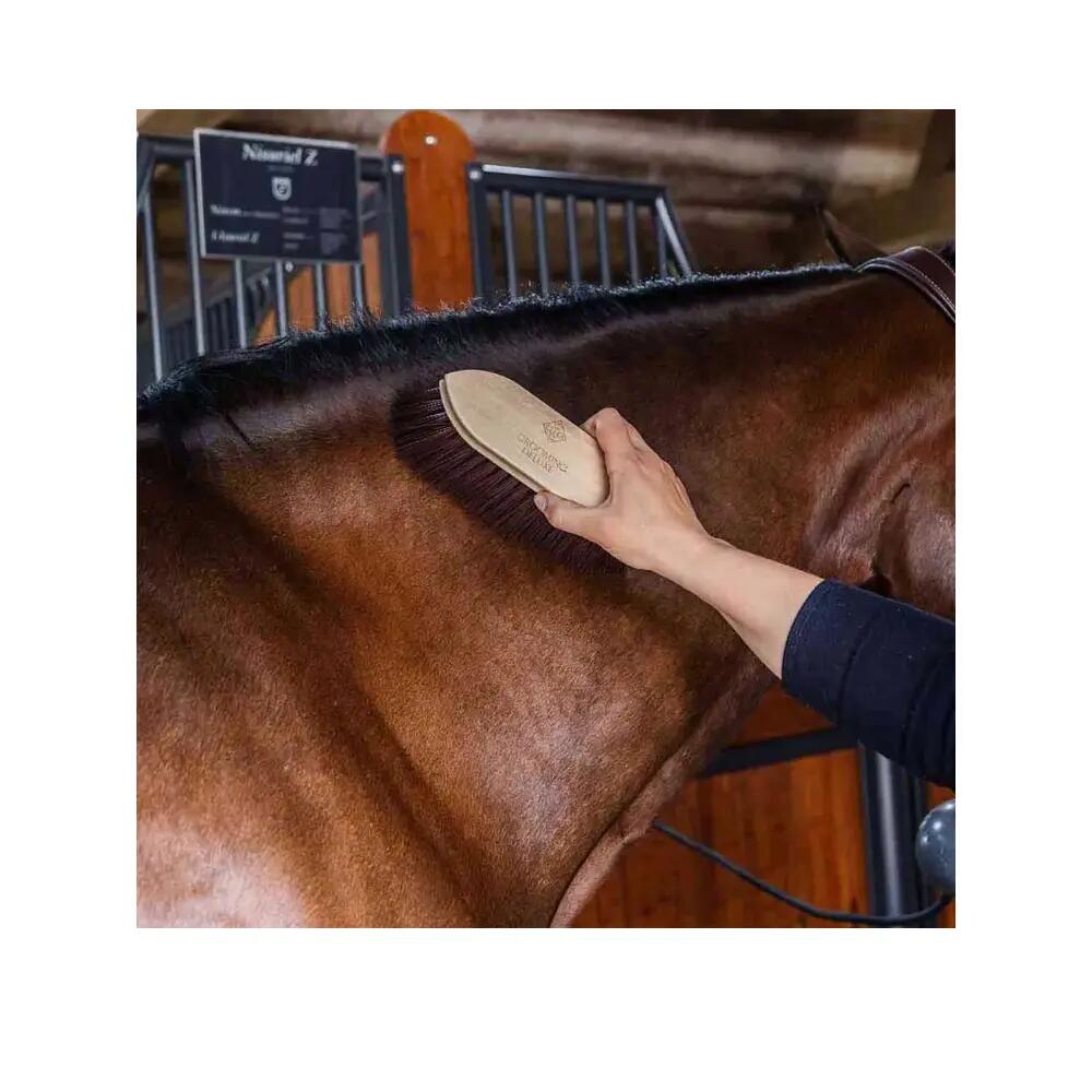 Houten borstel voor een paard Grooming Deluxe Classic long 6/6