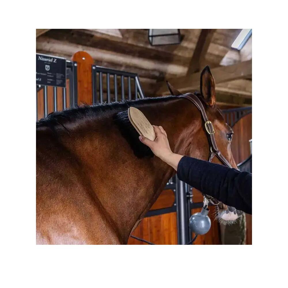 Cepillo para caballo de madera Grooming Deluxe Classic long 6/6