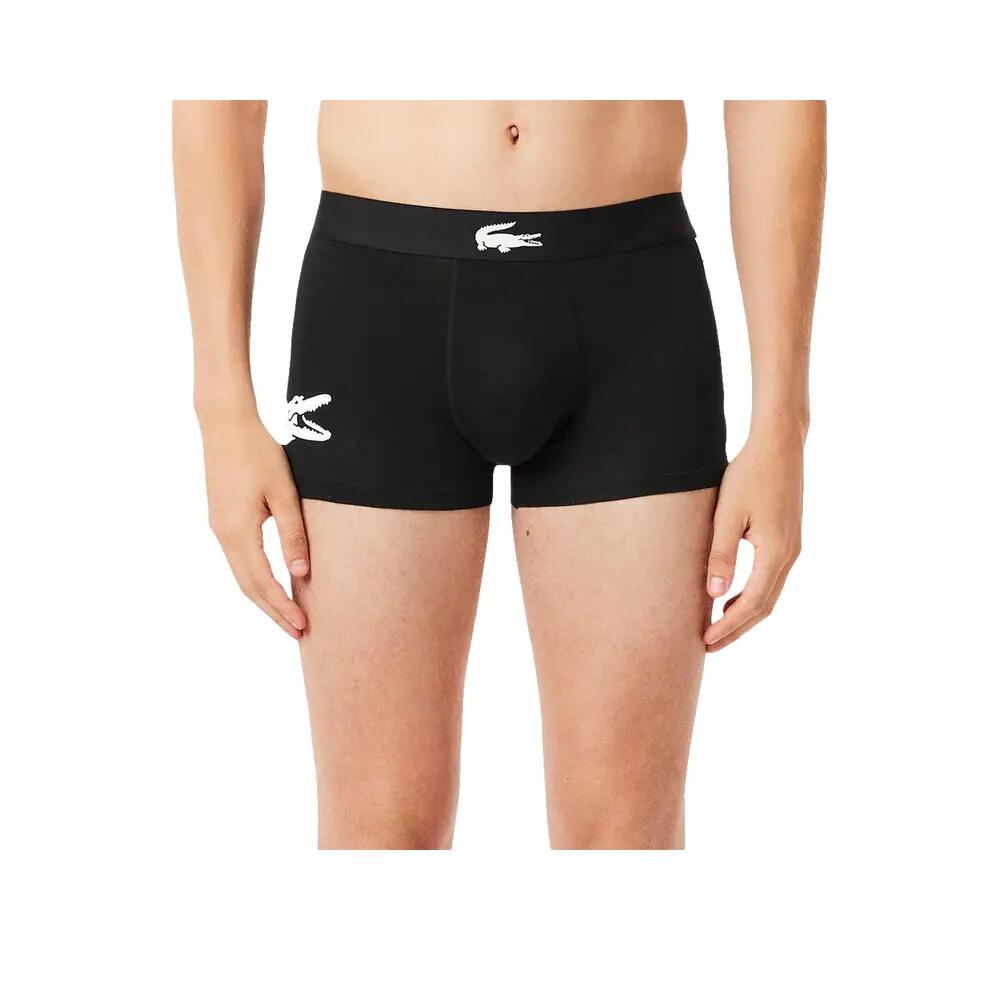 LACOSTE picture