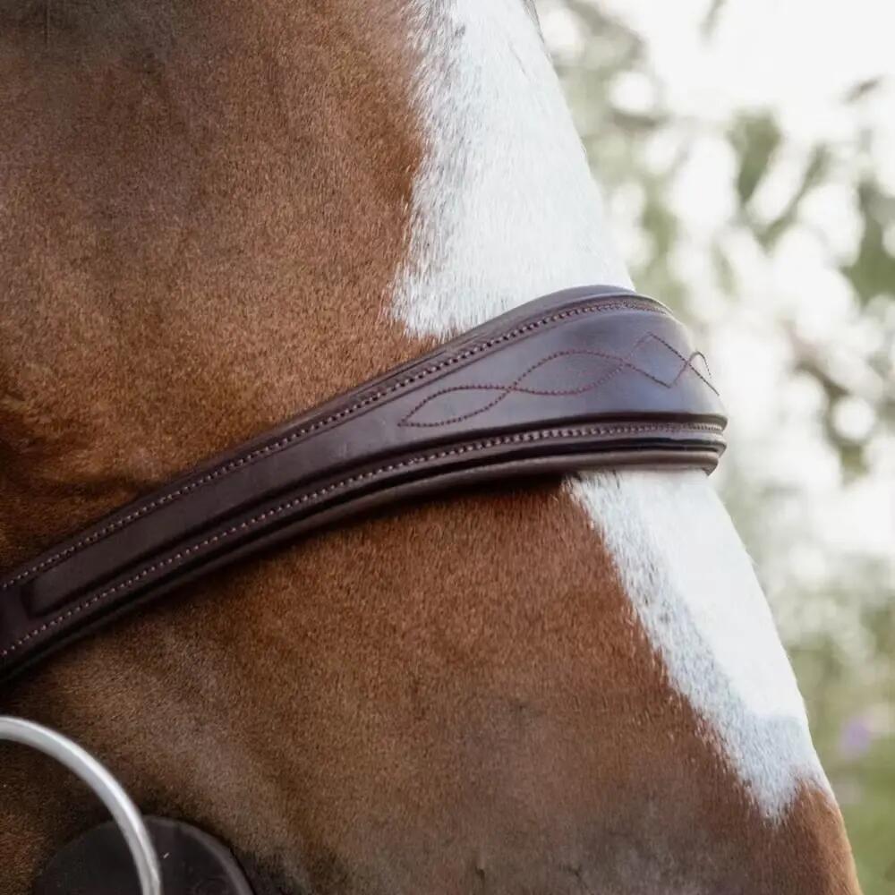 Mors Dyon Collection Anglaise Anatomique Marron 2/3