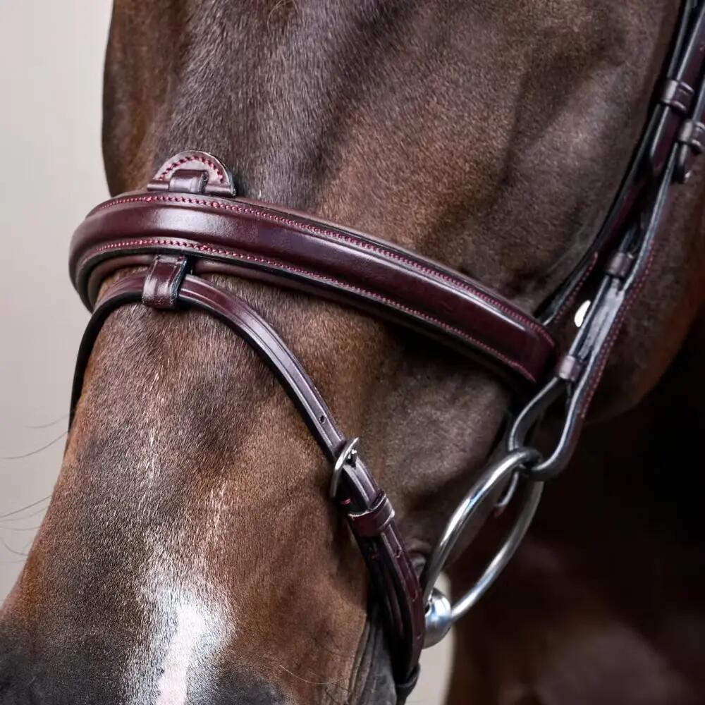 Bridon Dyon Nouvelle Collection Anglaise Flash Marron 5/5