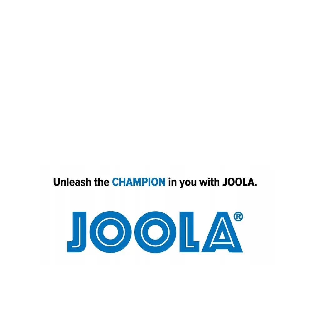 Set aus Schaumreiniger und Schwamm Joola 6/8