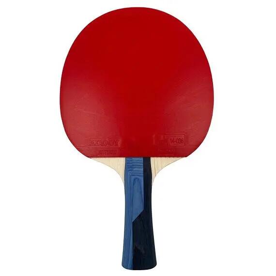 Pálka na stolní tenis Butterfly Timo Boll Sapphire 2/4