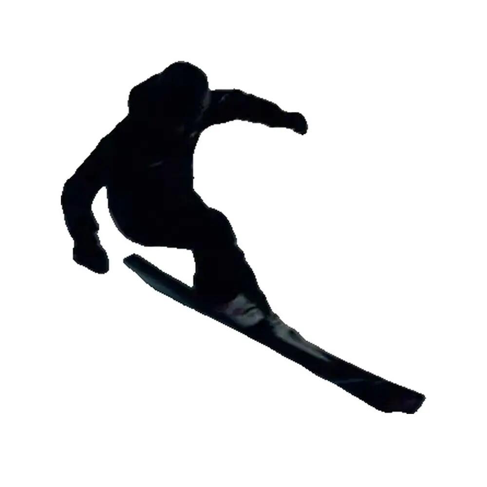 Sac de ski Völkl Peregrine XT — Negro 10/10