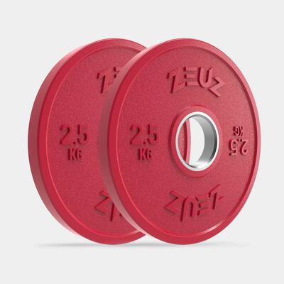 ZEUZ Dischi di peso 2 pezzi 2 kg – per manubri da 50 mm – Metallo e gomma