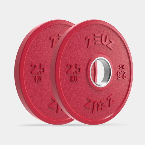 ZEUZ Dischi di peso 2 pezzi 2 kg – per manubri da 50 mm – Metallo e gomma