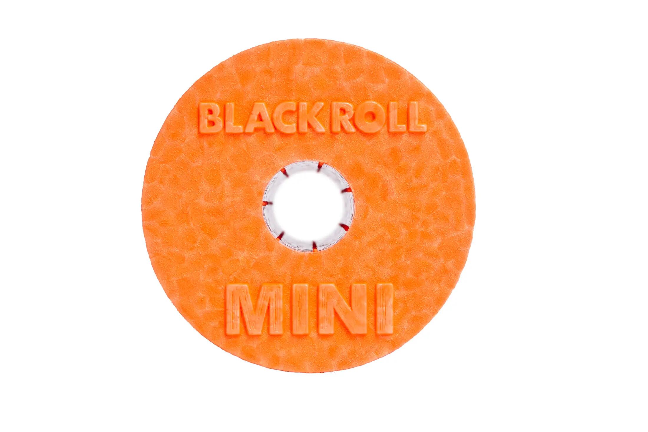 MINI 3/10